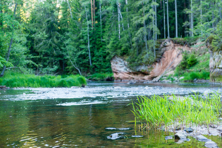 Summer river with reflections in Gauja National Park in Latviaの写真素材