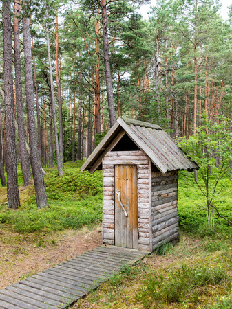 rural landscape. field and grass in summerの写真素材