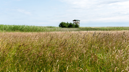 Green grass meadows and fields landscape in a sunny day. latviaの写真素材