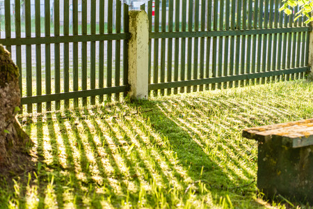 bench in  beautiful park in autumn in colorful morningの写真素材