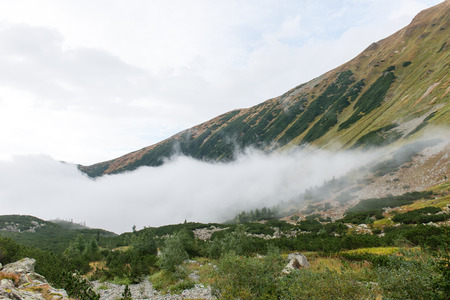 Tatra mountains in Slovakia covered with clouds. autumn colors.の写真素材