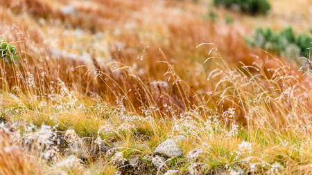 Tatra mountains in Slovakia covered with clouds. autumn colors.の写真素材
