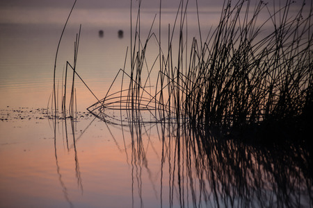 Foggy morning on the country lake with colorful sky and cloudsの写真素材