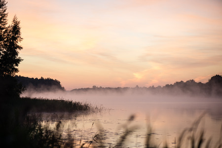 Blurred water grass on the foggy morning in country lakeの写真素材