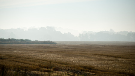 Foggy colorful morning above fields in countryside