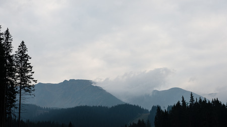 Misty morning mountain view with peaks in mist and forest trees in Slovakiaの写真素材