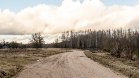 empty road in the countryside with trees in surrounding. perspective in autumnの写真素材