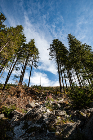 slovakian carpathian mountains in autumn. sunny day for hikingの写真素材