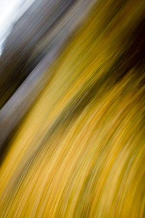 abstract blur background. autumn colors of natureの写真素材