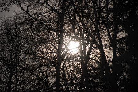 night streets in city at nightの写真素材