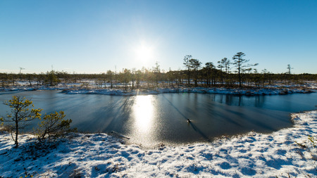 andscape with the frozen plants and the hoar-frost. Frosty morning in raised bog. Kemeri National park, Latviaの写真素材