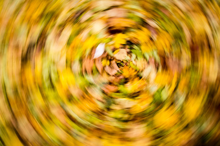 abstract blur background. autumn colors of natureの写真素材