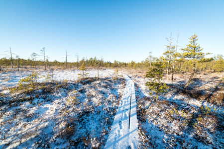 snowy tourist hiking trail in woods in winter. trails in snow