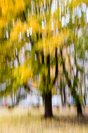 abstract blur background. autumn colors of natureの写真素材