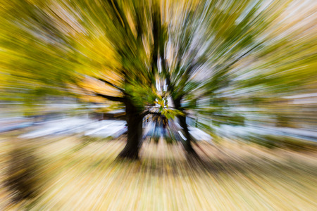 abstract blur background. autumn colors of natureの写真素材