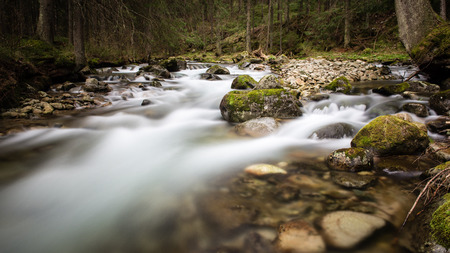 mountain river, long exposure, with rocks and treesの写真素材