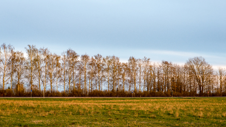 Cultivated field in bright spring day in countrysideの写真素材