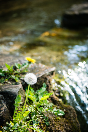 Waterfall from ravine in mountain river in rocksの写真素材