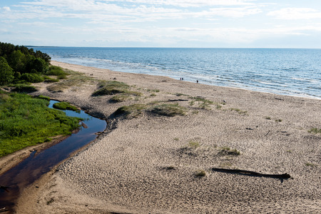 comfortable beach of the baltic sea with rocks and green vegetation in summerの写真素材