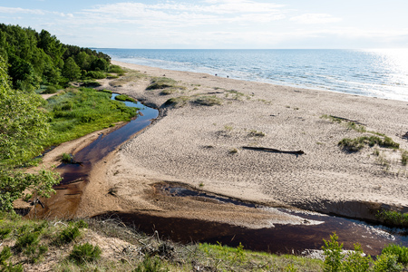 comfortable beach of the baltic sea with rocks and green vegetation in summerの写真素材