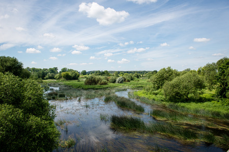 calm river in forest with reflections and trees on both sides of the streamの写真素材