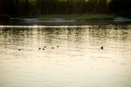 Beautiful summer sunset at the river with blue sky, red and orange clouds, green trees and water with reflectionの写真素材