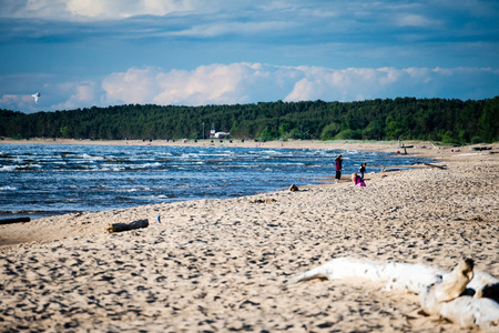 comfortable beach of the baltic sea with rocks and green vegetation in summerのeditorial素材