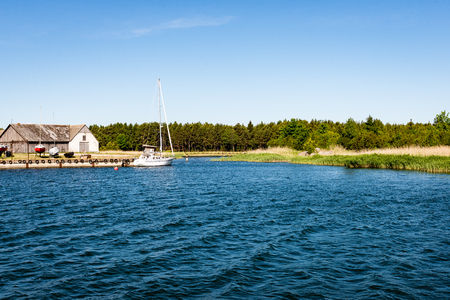 comfortable beach of the baltic sea with rocks and green vegetation in summerのeditorial素材