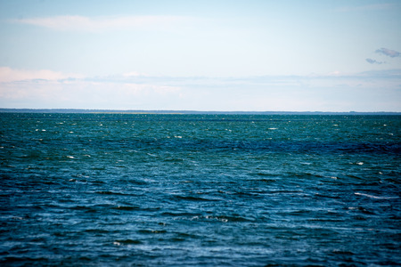 comfortable beach of the baltic sea with rocks and green vegetation in summerの写真素材