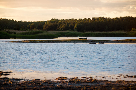 comfortable beach of the baltic sea with rocks and green vegetation in summer