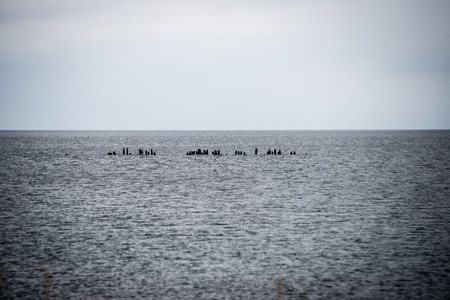 Reflections in the calm lake water with dramatic cloudsの写真素材