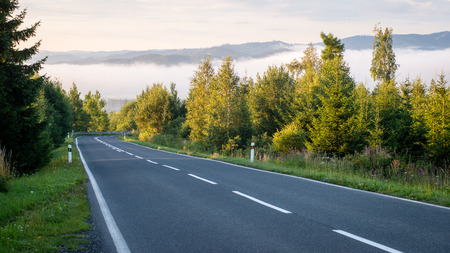simple country road in summer at countryside with trees aroundの写真素材