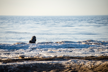 people enjoying frozen beach in winters cold. walking and relaxingの写真素材