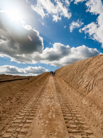 country road in perspective in summer forest with trees and grassの写真素材