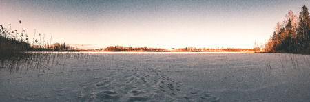 frozen countryside scene in winter with snow. snowy forestの写真素材