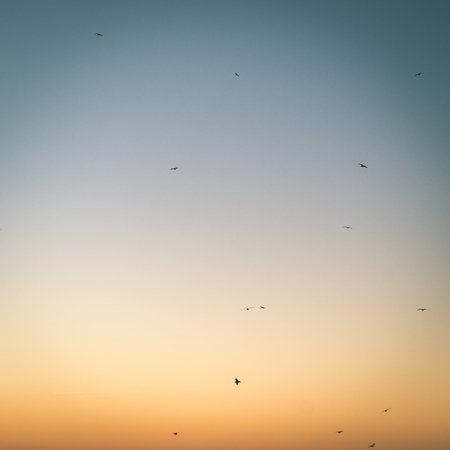 birds flying in sunset over frozen sea with ice blocks and dramatic colorful sky - instant vintage square photoの写真素材