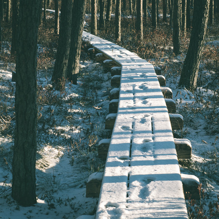 snowy tourist hiking trail in woods in winter. trails in snow - instant vintage square photo