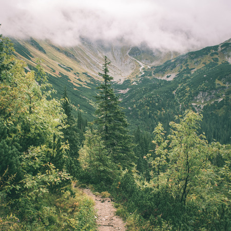 Tatra mountains in Slovakia covered with clouds. autumn colors. - instant vintage square photoの写真素材
