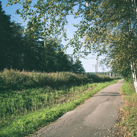 country road with birch trees and old asphalt road with autumn leaves - instant vintage square photo
