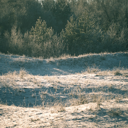 cold morning in the field in winter at countryside with snow and blue skies - instant vintage square photoの写真素材