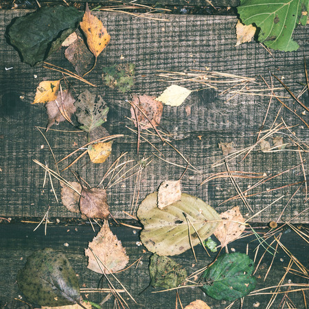 old wooden planks covered with autumn leaves - instant vintage square photo
