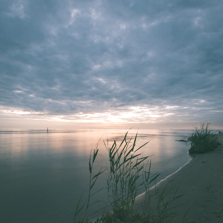 landscape with mountains trees and a river in front in autumn - instant vintage square photoの写真素材