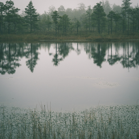 Autumn lake with reflections of trees and clouds - instant vintage square photo
