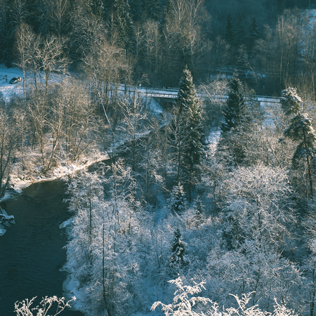 snowy winter landscape with snow covered trees and blue sky - instant vintage square photoの写真素材