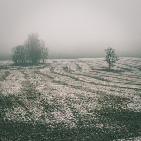 countryside fields in early spring with clouds and farmland - instant vintage square photoの写真素材