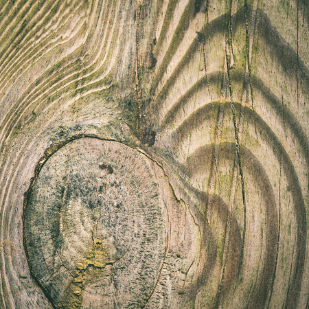 wooden plank with splinters and cracks. - instant vintage square photo