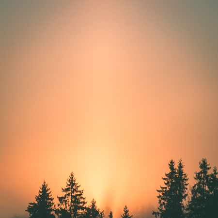 beautiful dark colorful sunrise over forest in winter frost - instant vintage square photoの写真素材