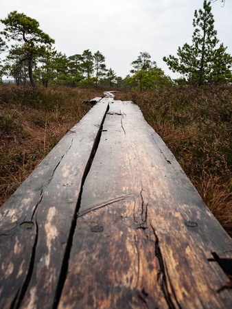 sunny tourist track with boardwalks in natural environmentの写真素材