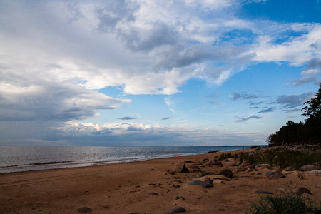 sunset over the calm lake beach with dramatic colorful sky and tree silhouettesの写真素材