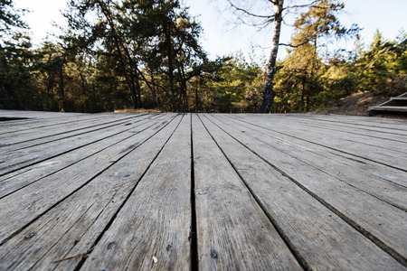 sunny tourist track with boardwalks in natural environmentの写真素材